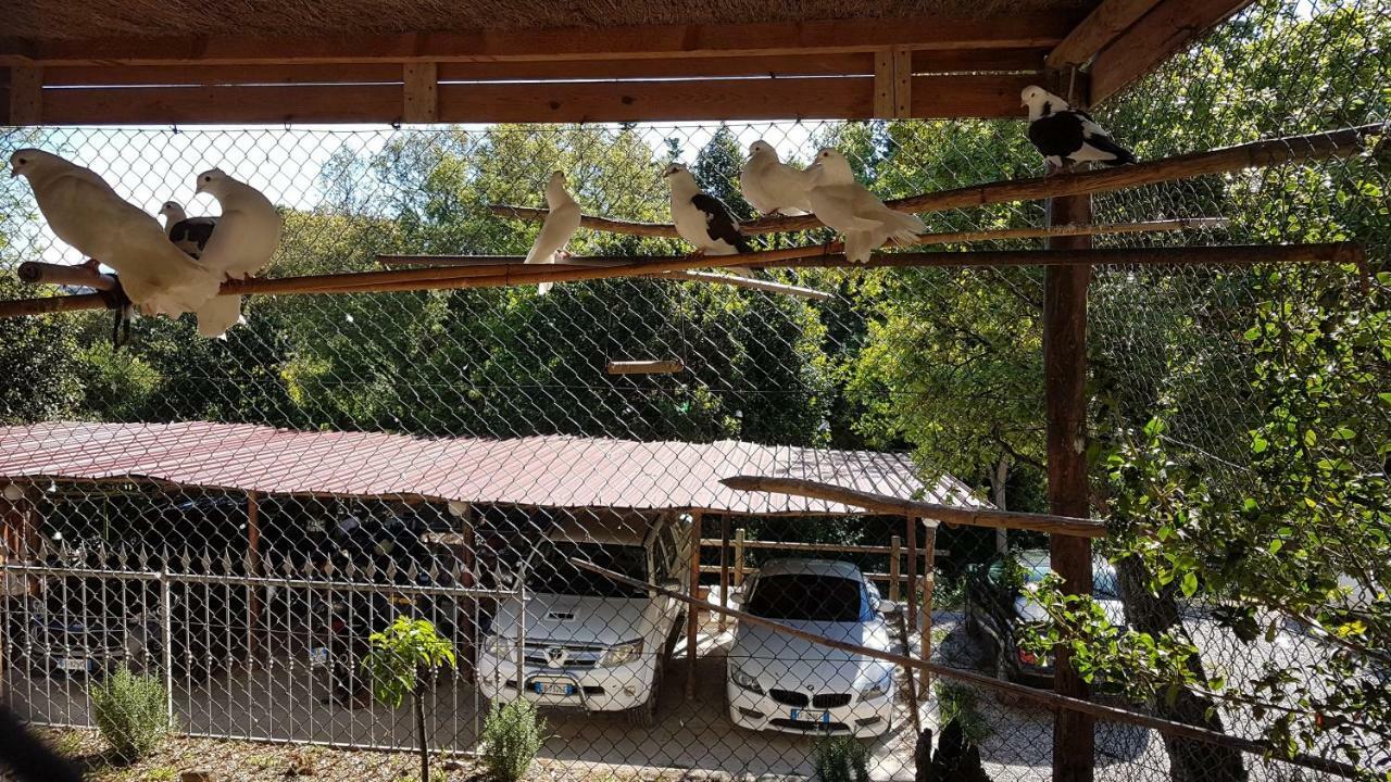 Appartamenti Casa Santi Portoferraio Exterior foto